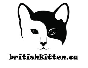 britishkitten.ca